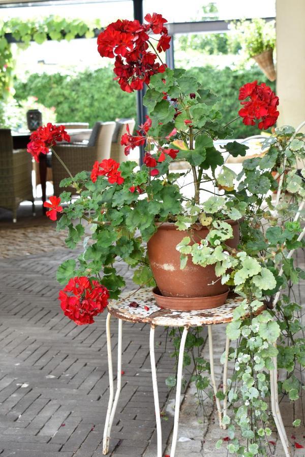 Bed and Breakfast De Oude Limonadefabriek Beek  Esterno foto